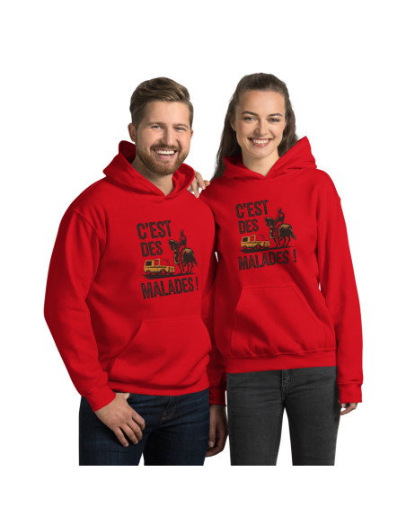 Sweat à capuche c'est des malades